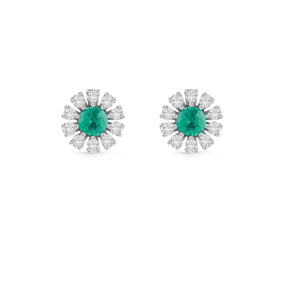 Immagine prodotto