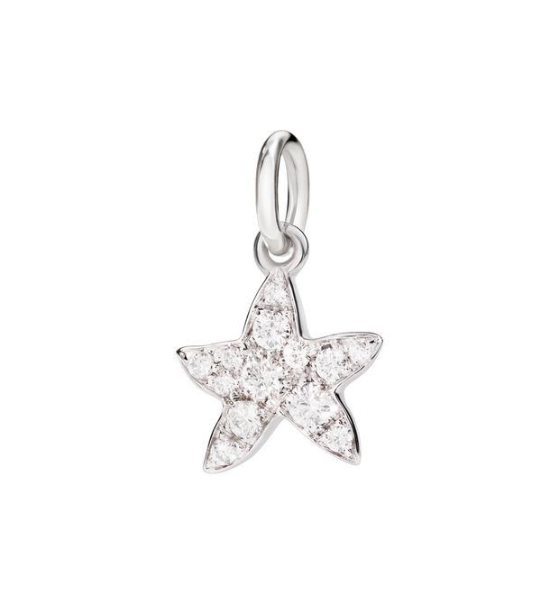 STELLINA